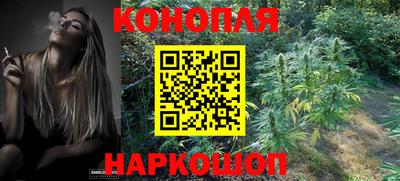 прущие крисы Новозыбков