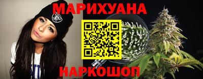прущие крисы Новозыбков
