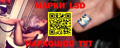 прущие крисы Новозыбков