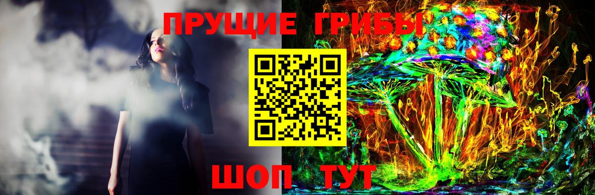 Псилоцибиновые грибы мицелий Тулун